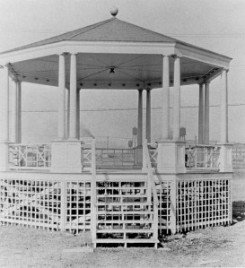 My beautiful picture