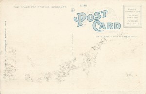 thefamousrotherwoodback