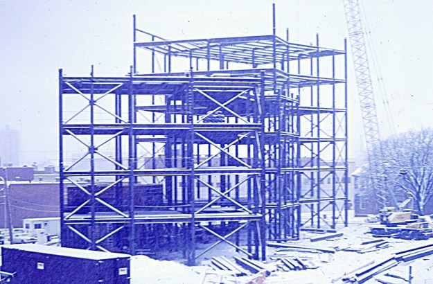 My beautiful picture